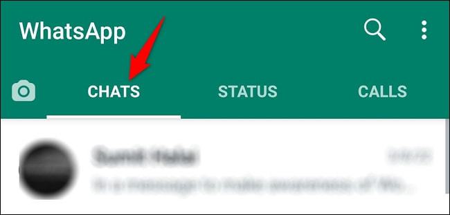 WhatsApp分身版