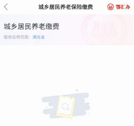 湖北政务服务鄂汇办