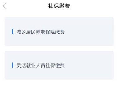 湖北政务服务鄂汇办