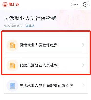 湖北政务服务鄂汇办