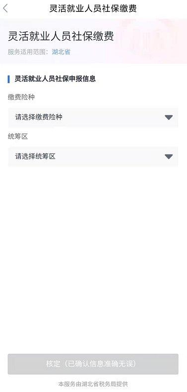湖北政务服务鄂汇办