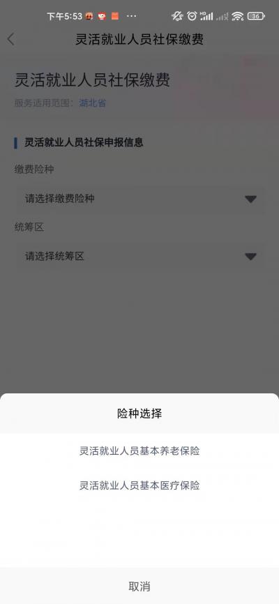 湖北政务服务鄂汇办