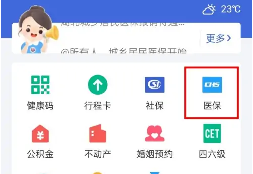 湖北政务服务鄂汇办
