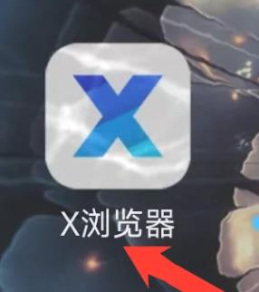 X浏览器国际版