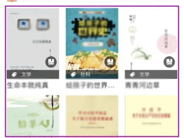 国家图书馆银川app开发公司推荐