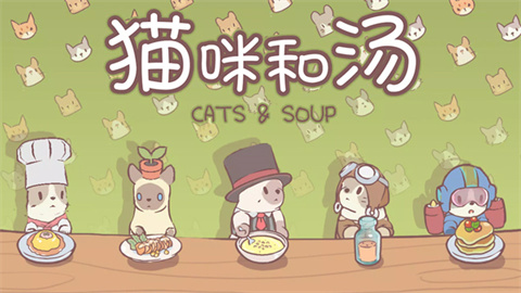 猫咪和汤官方正版承德展示app开发