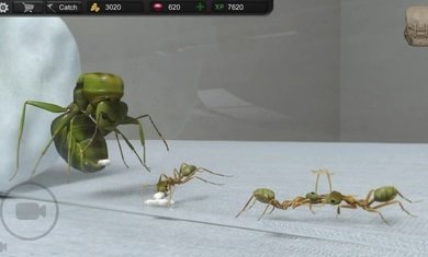 蚂蚁模拟大亨内置菜单版