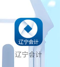 辽宁会计