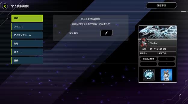 游戲王大師決斗中文版