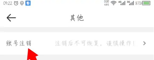 达达骑士版
