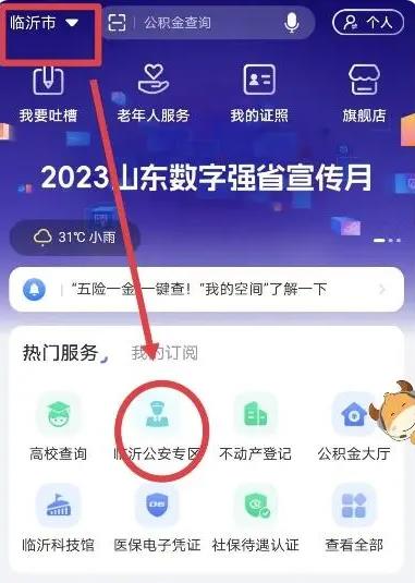 爱山东2024