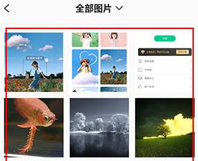 傲软抠图高级解锁版