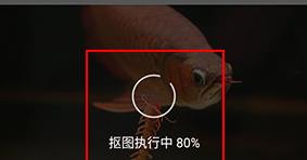 傲软抠图高级解锁版