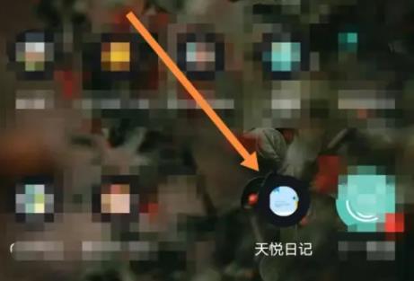 天悦日记
