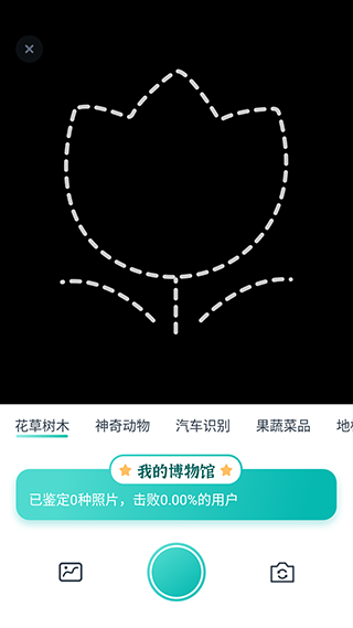 花卉识别