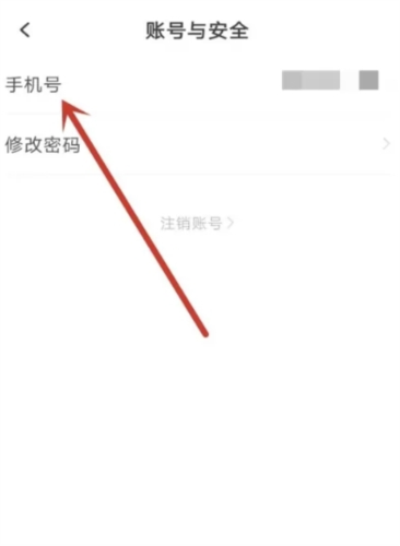 长江日报电子版武汉开发手机app公司