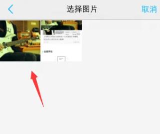 Snapseed绿色版