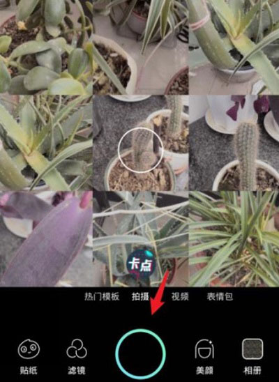 Faceu激萌-相機