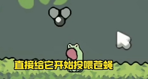 蛙蛙養(yǎng)殖場正版