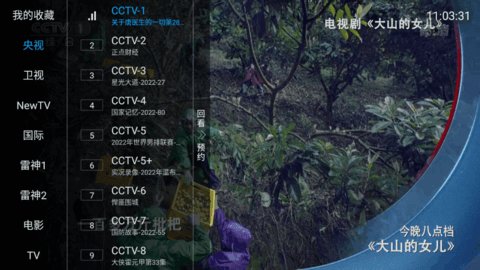 雷神tv