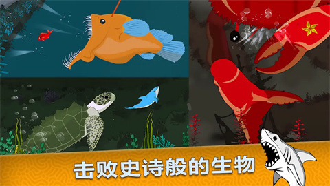 皇家魚