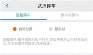 武汉停车最新版