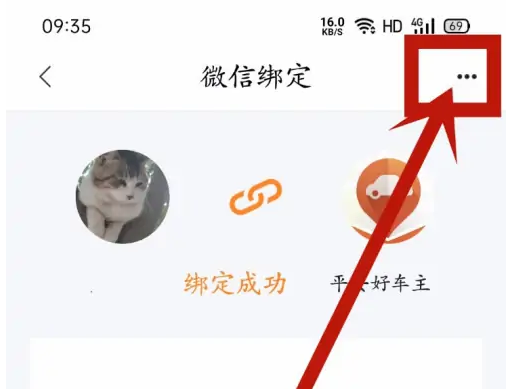 平安好车主官方版