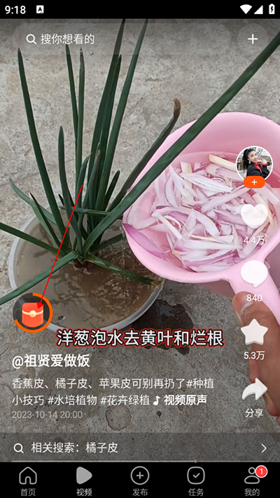 有柿最新版