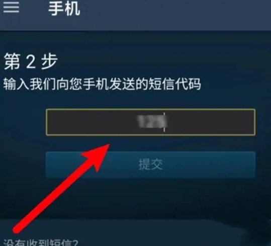 正版Steam