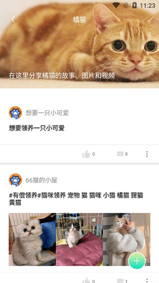 握爪最新版