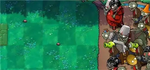 植物大战僵尸杂交版最新版