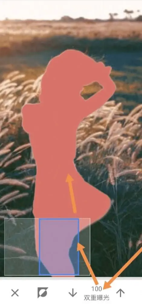 Snapseed绿叶子修图