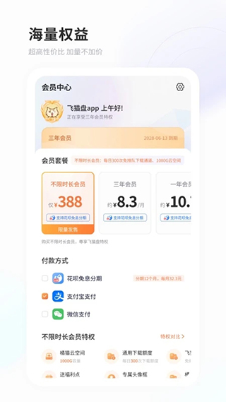 飞猫盘免费版