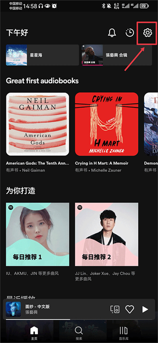 SpotifyTV版