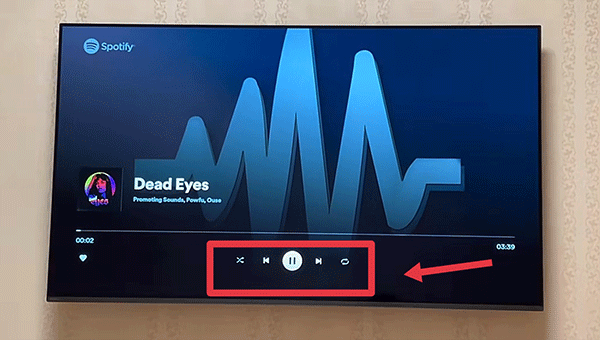 SpotifyTV版