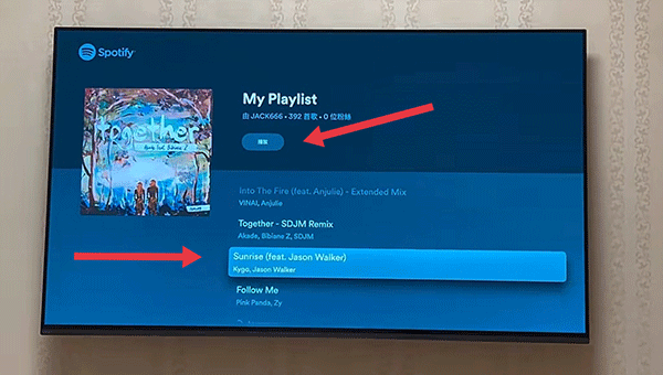 SpotifyTV版