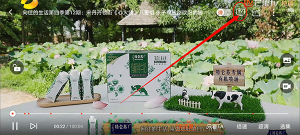 Bind情侣实时定位