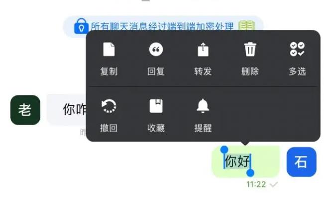 蝙蝠国际版