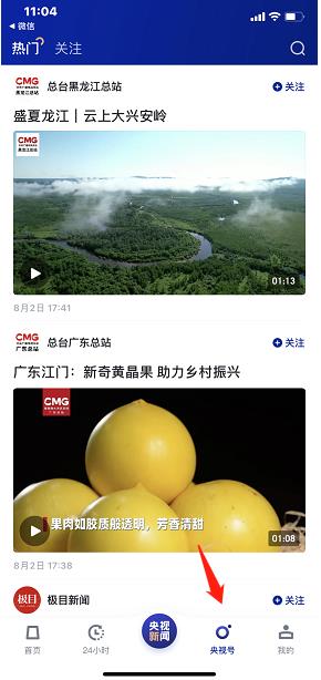 央视新闻官方版