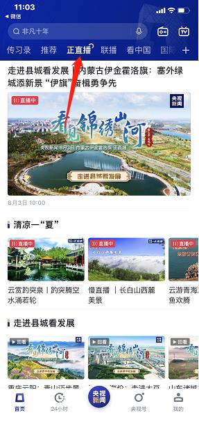 央视新闻官方版