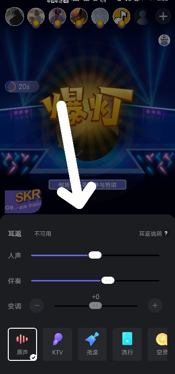 skr撕歌