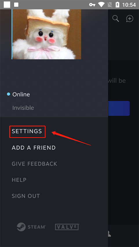 steam chat社交
