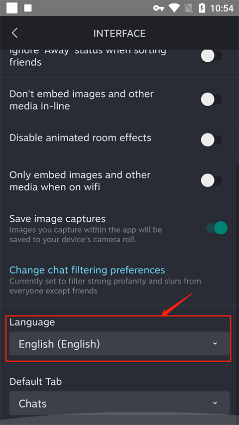 steam chat社交