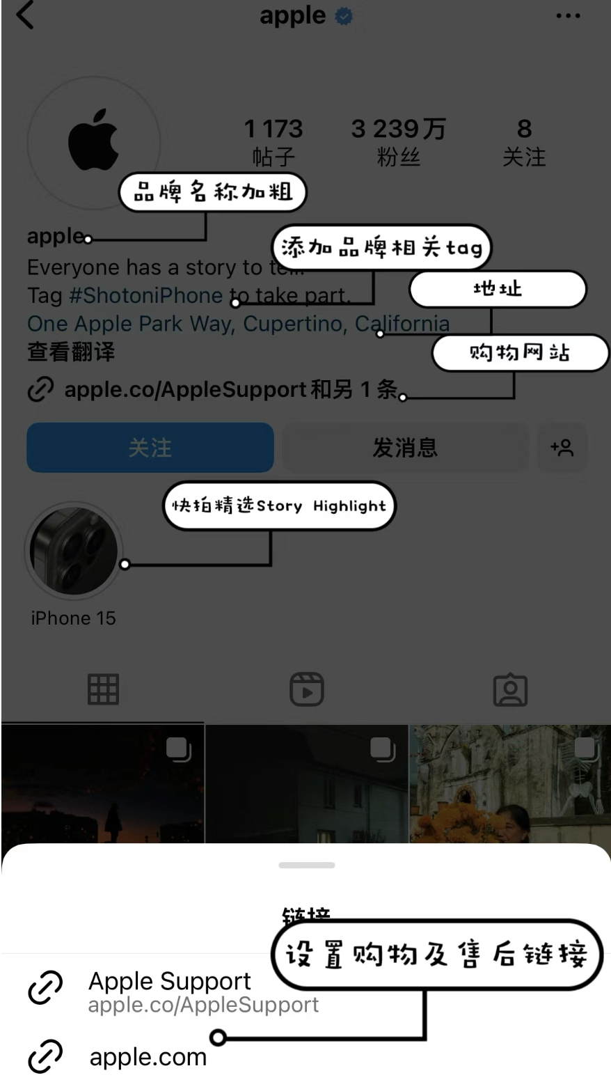 instagram社交国际版