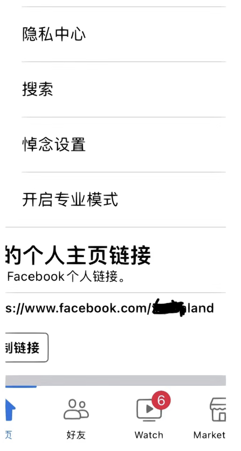 Facebook臉書海外版