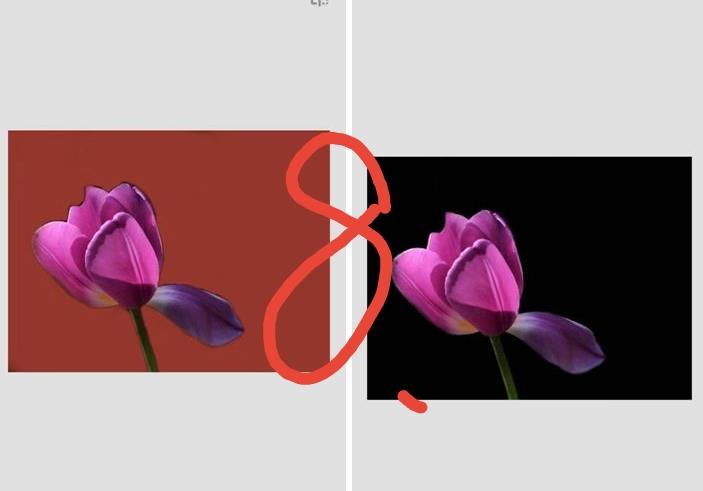 Snapseed中文版正版