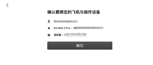 DJI Fly