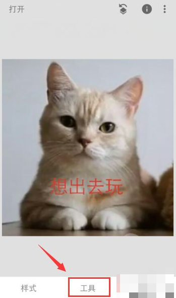 Snapseed专业版