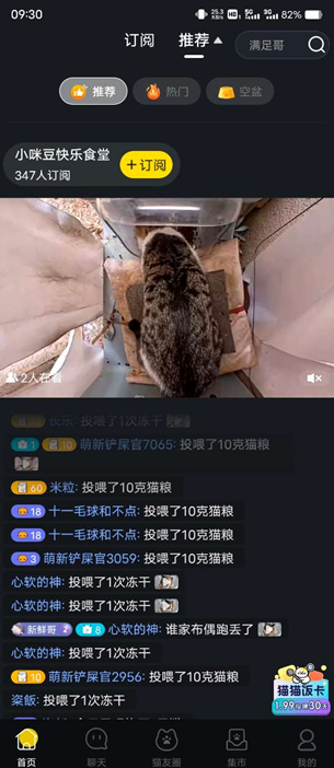 街猫社区