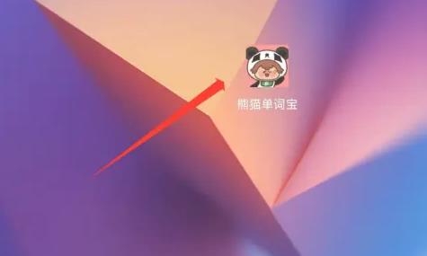 熊猫在学